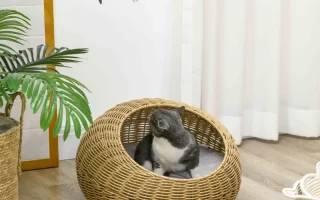 bunny sitting inside round wicker bed in bright room