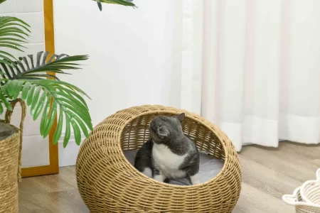 bunny sitting inside round wicker bed in bright room