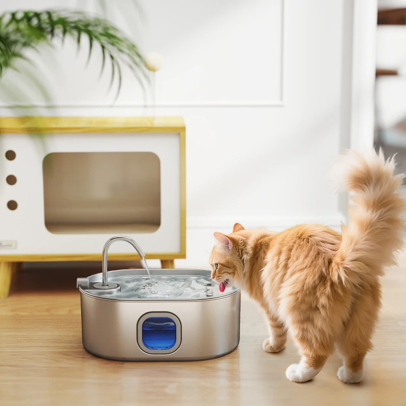 Choosing a Cat Fountain: What You Need to Know in 2026 - Aosom