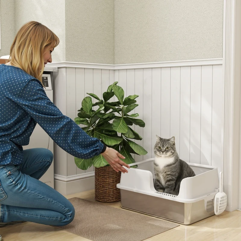 Woman helping a cat use a high-sided litter box beside a houseplant.