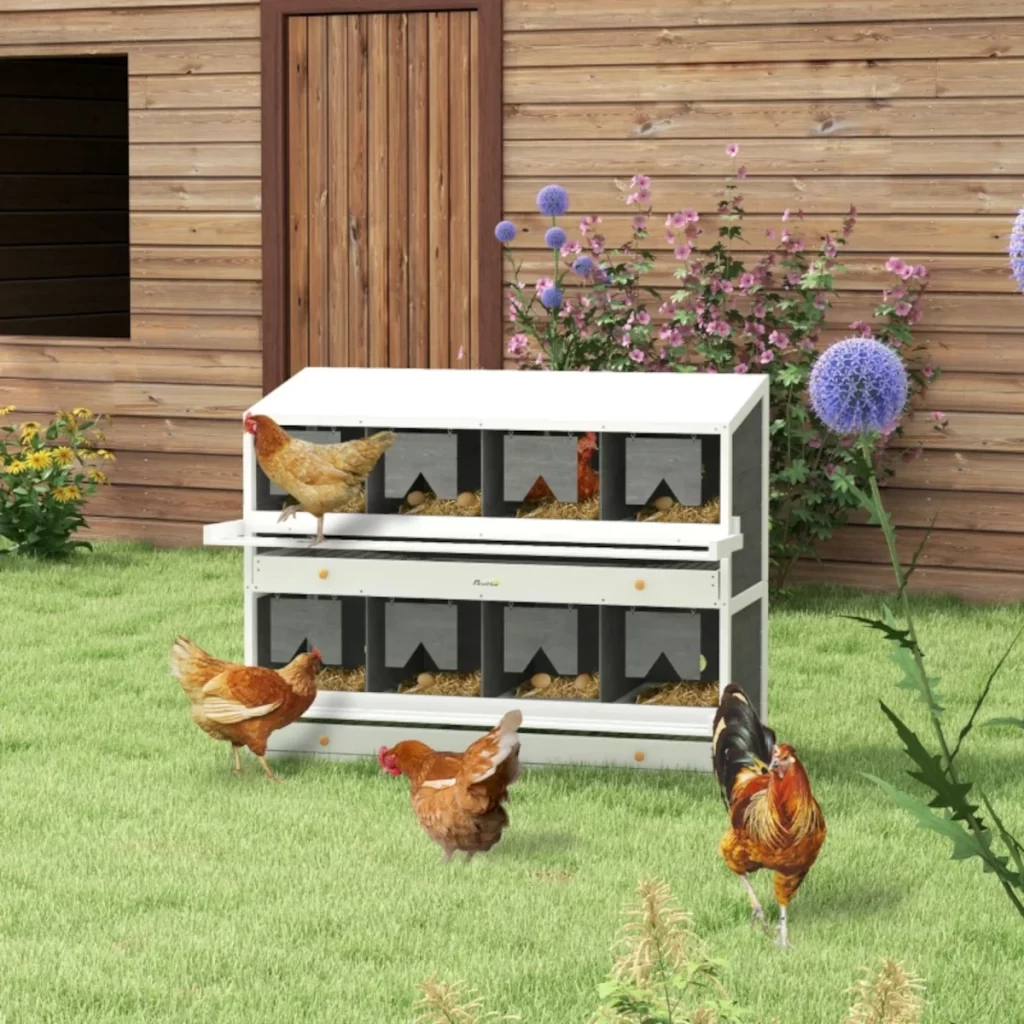 How to Build a Chicken Nest Box: A Simple DIY Guide for Happy Hens - Aosom