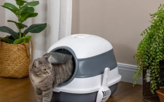 Gray cat exiting a dome-style litter box in a cozy indoor corner.