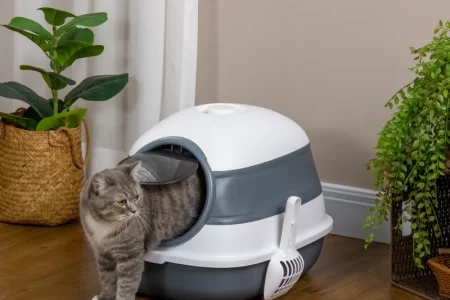 Gray cat exiting a dome-style litter box in a cozy indoor corner.