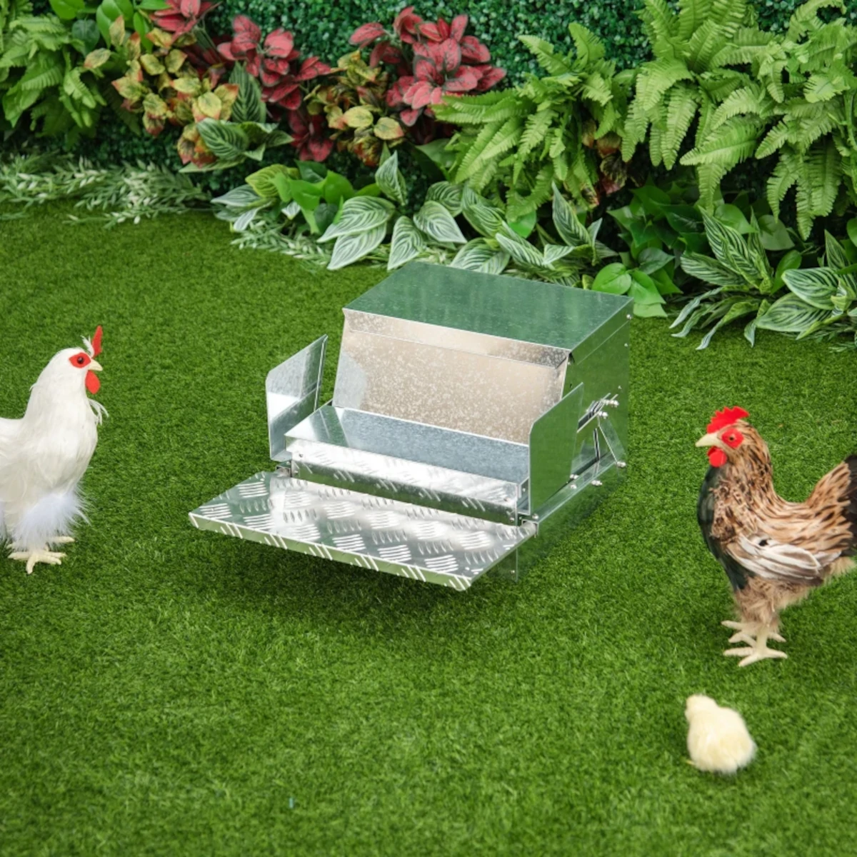 How to Clean Chicken Feeders: Protect Your Flock from Harmful Bacteria ...