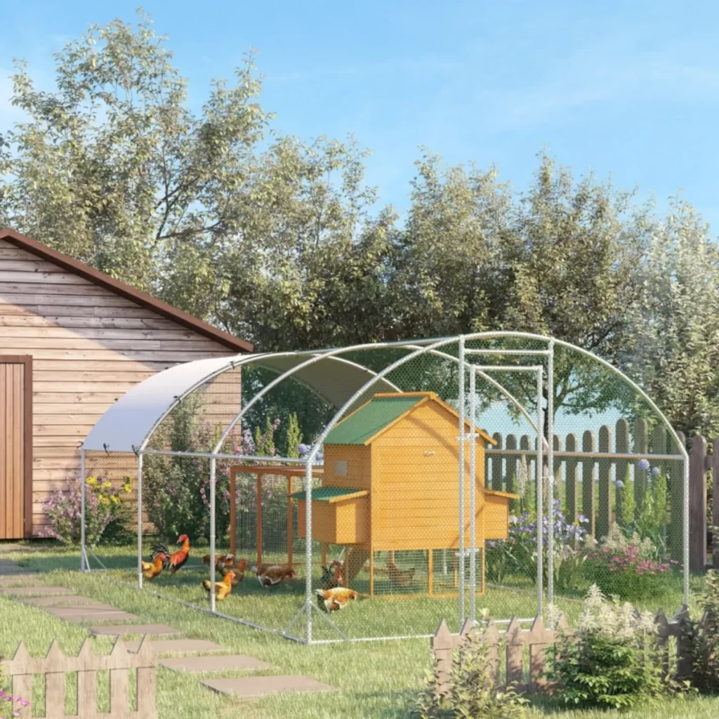 How to Clean Your Chicken Run: Essential Steps for a Healthier Flock ...