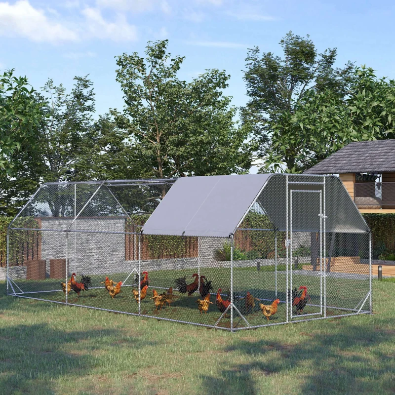 Extra-large, walk-in metal chicken run with a middle shelter and multiple chickens.
