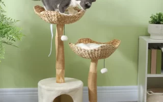 Tall pink and green cat tree with three cats resting on different platforms.